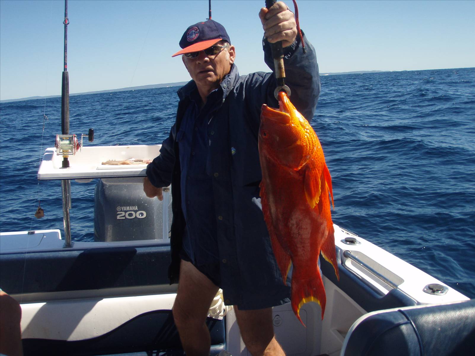 5 kg corination trout on fraser