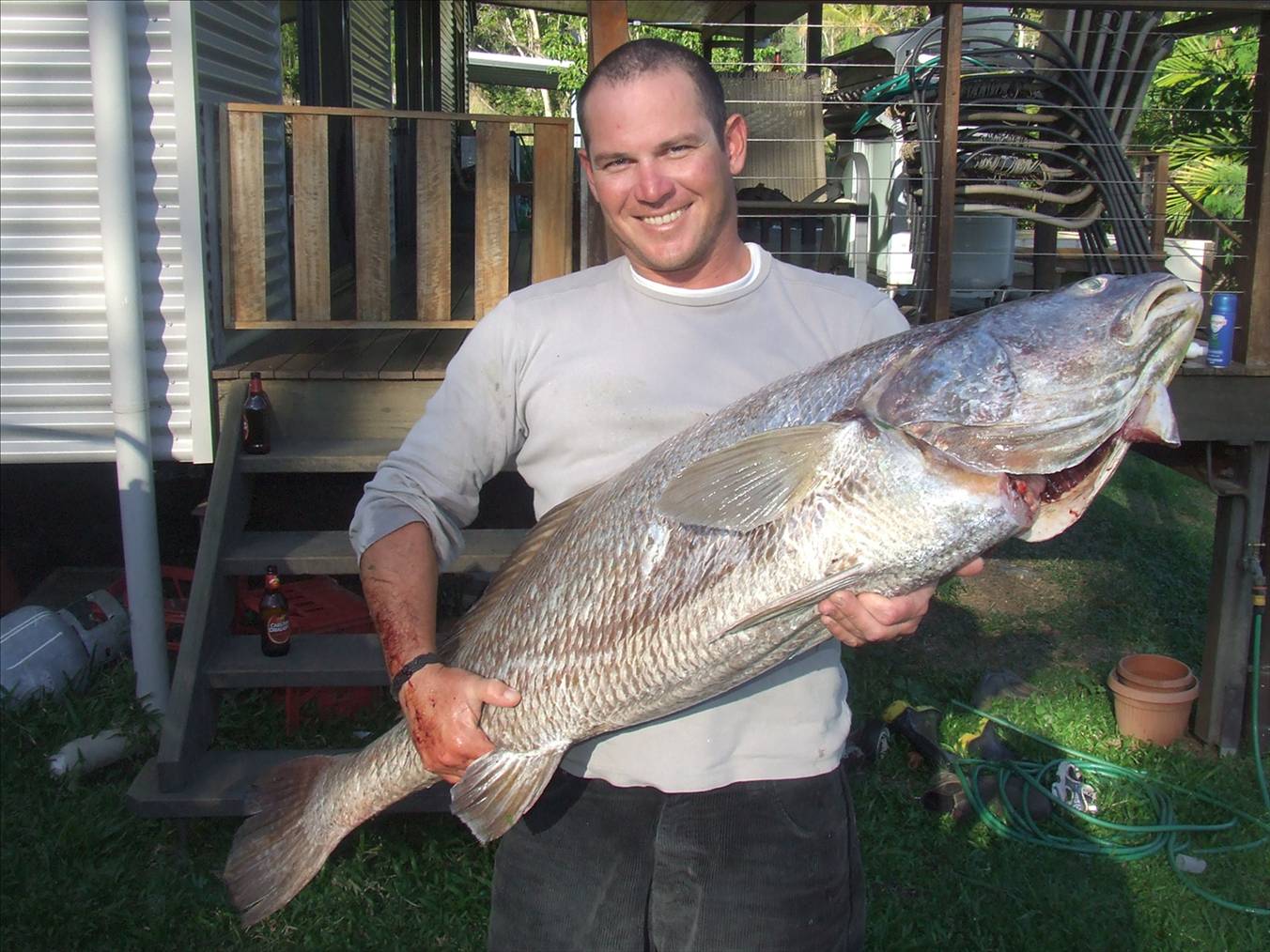 23kg jew, whitsundays