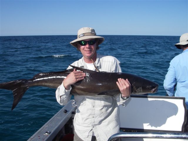 greenleaders first cobia (not a bad one)!