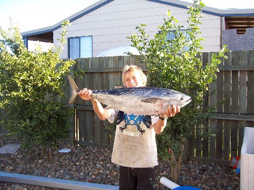 Little Matts Big Fish