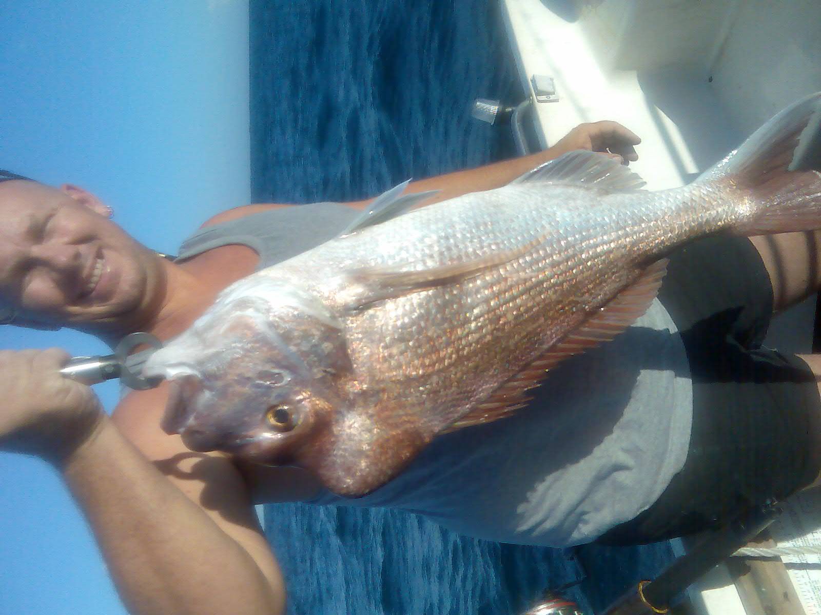 24 snapper southport