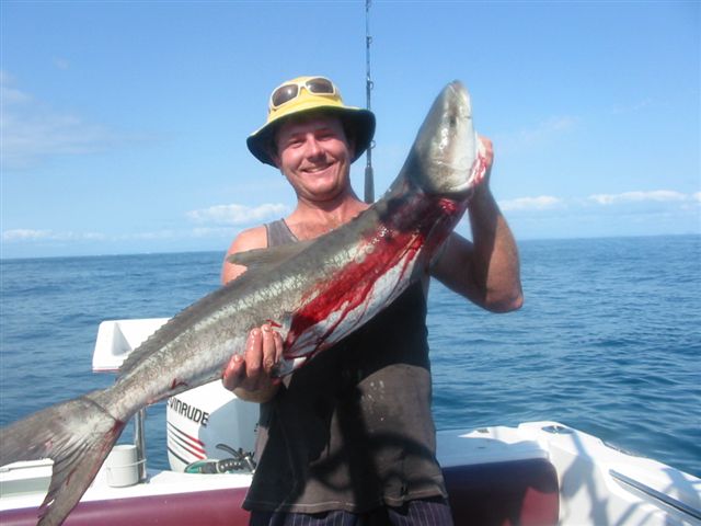cobia off Morteon island
