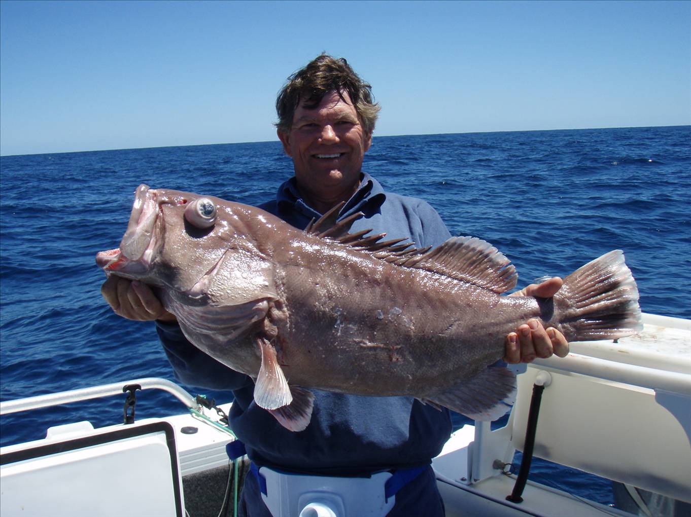 rich wants to be steve