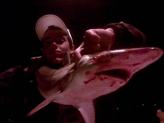 my black tip cought at woodmans point jetty