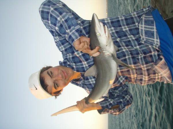 my bronzie, my m8s spaniard