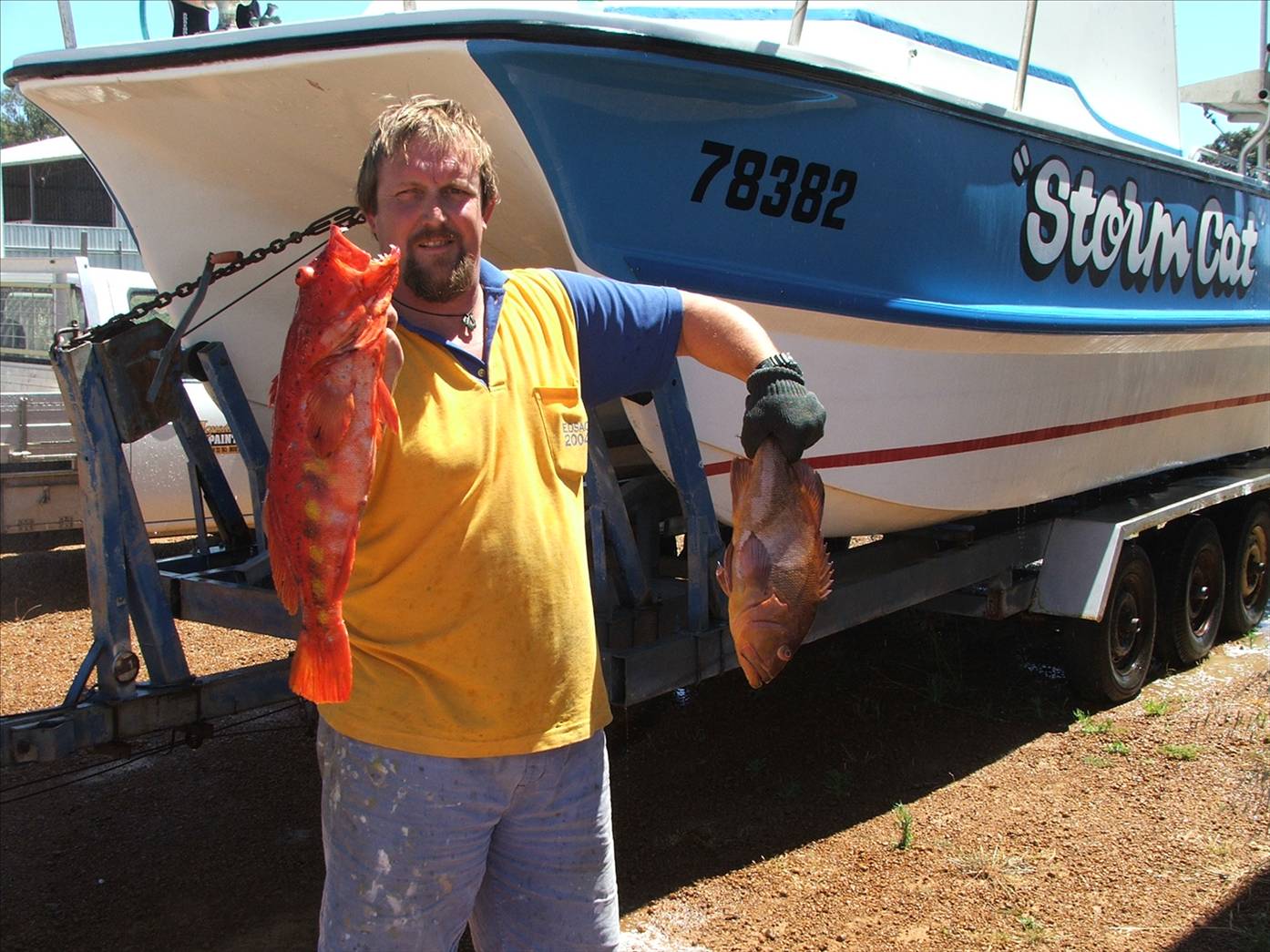  harley and a black ass