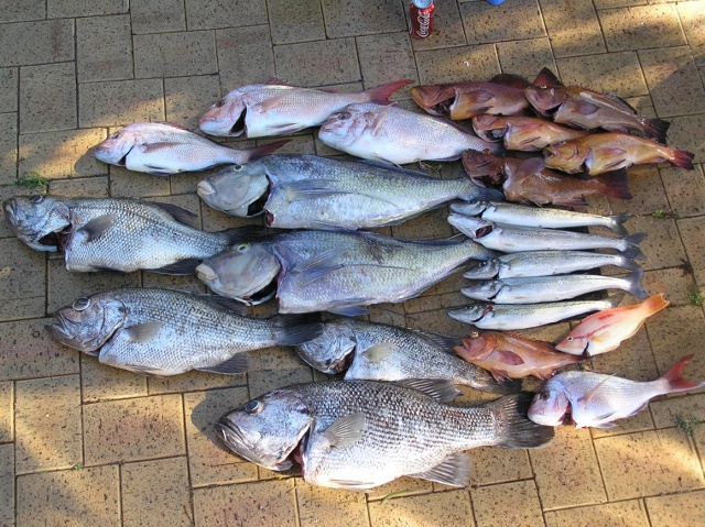 Good Day Out on the Bank