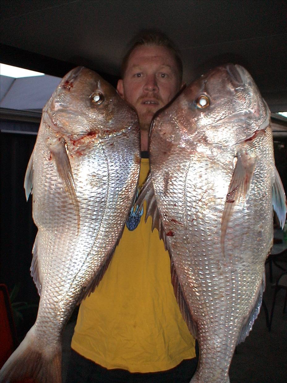 not bad for moreton bay snapper