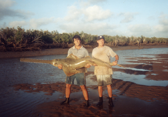 saw tooth Port Hedland