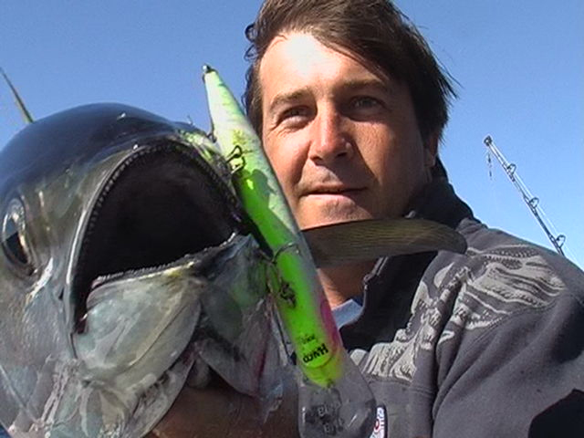 yellow fin tuna Coral Bay