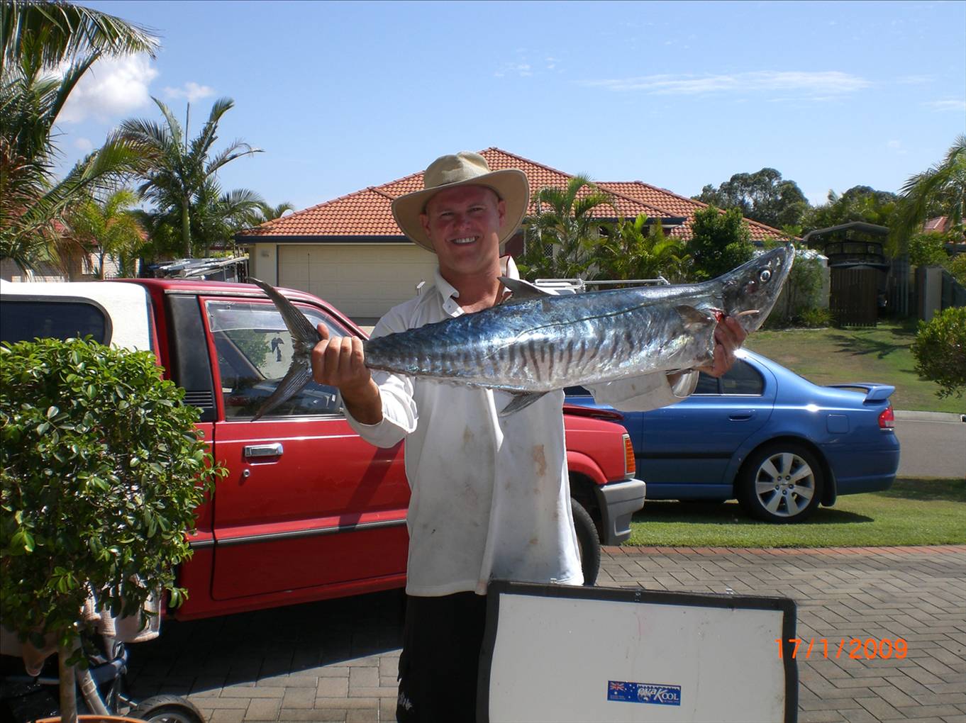 things are looking better.