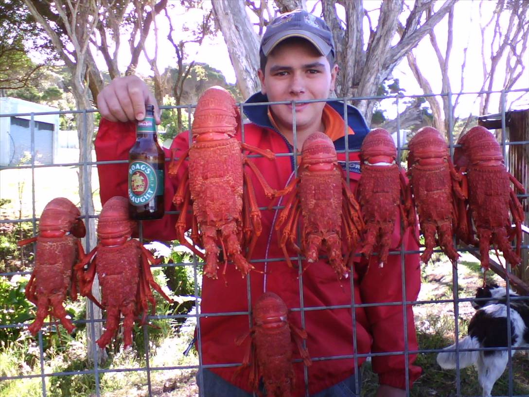 Crayfishing at Granville