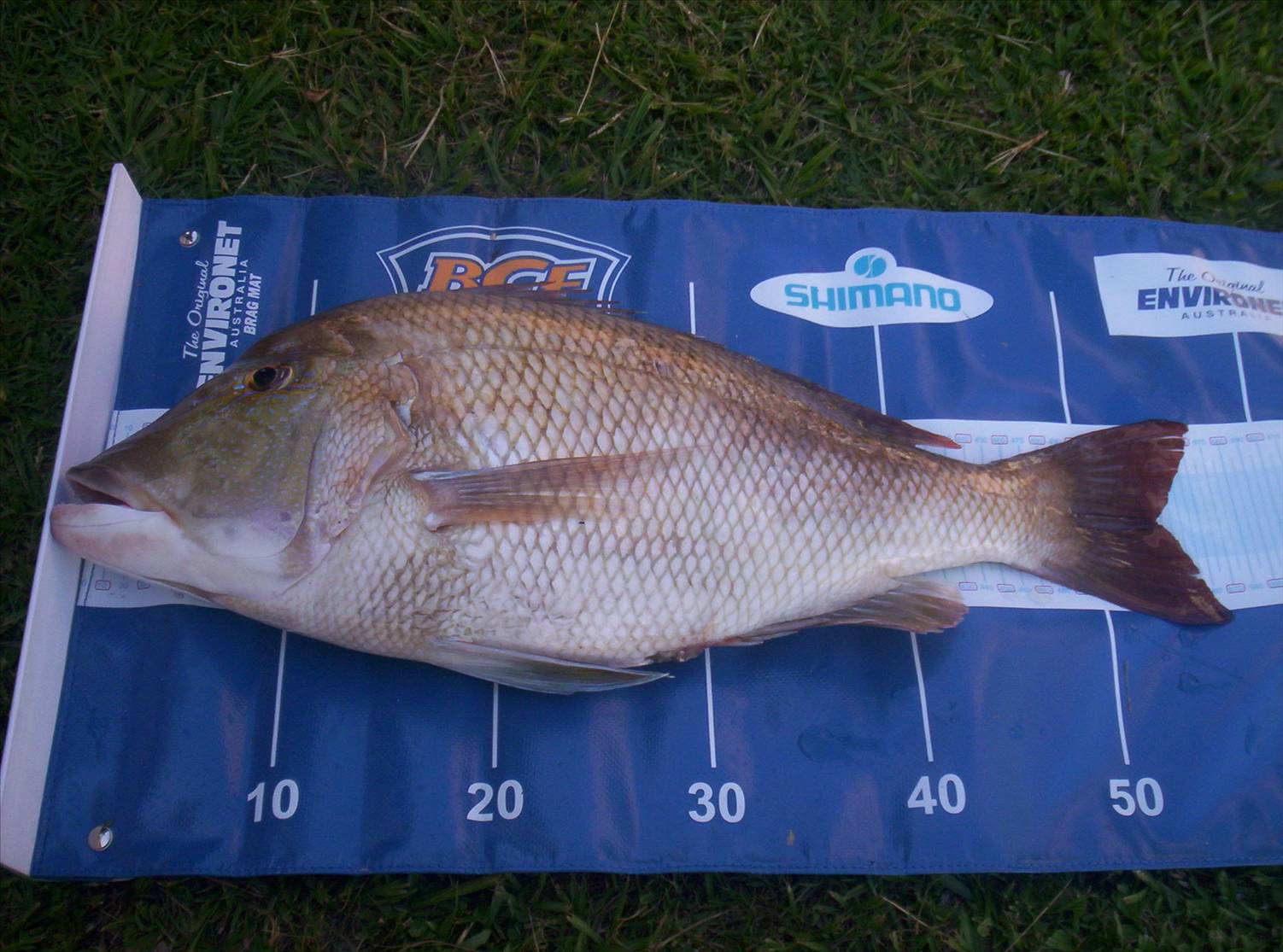 Fishing with the boys