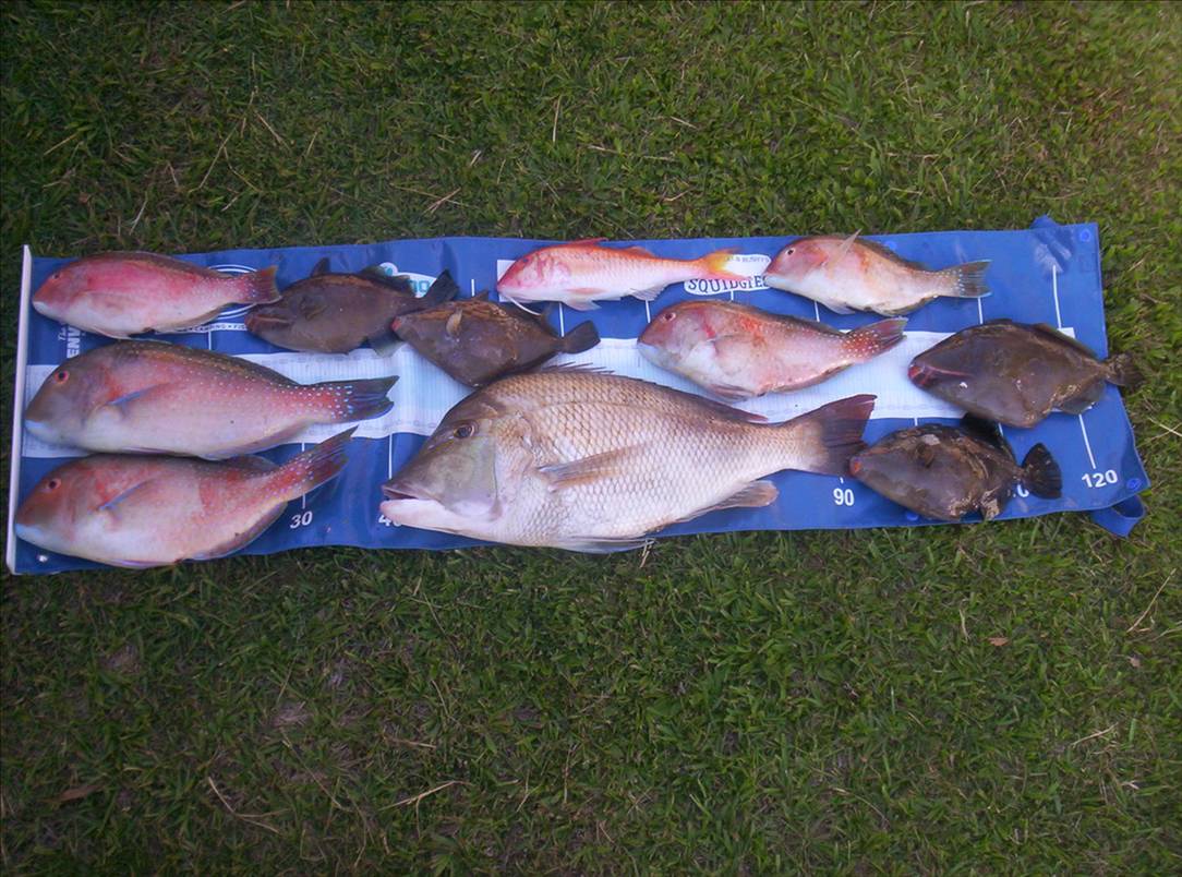 Fishing with the boys