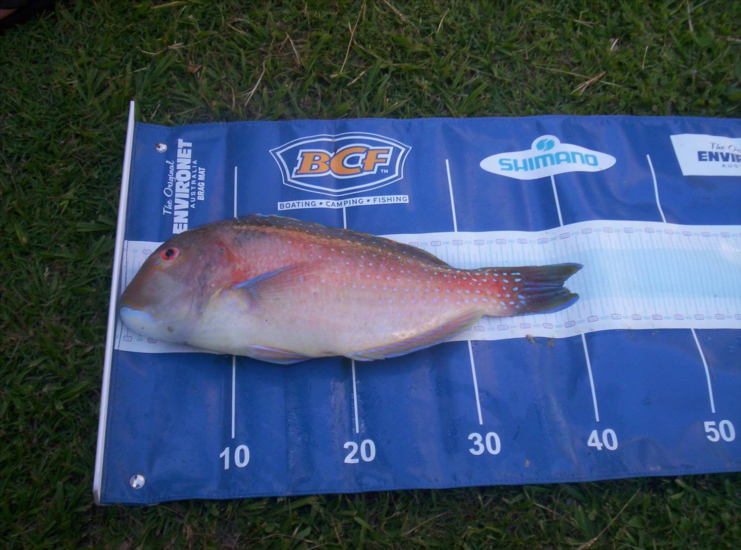 Fishing with the boys