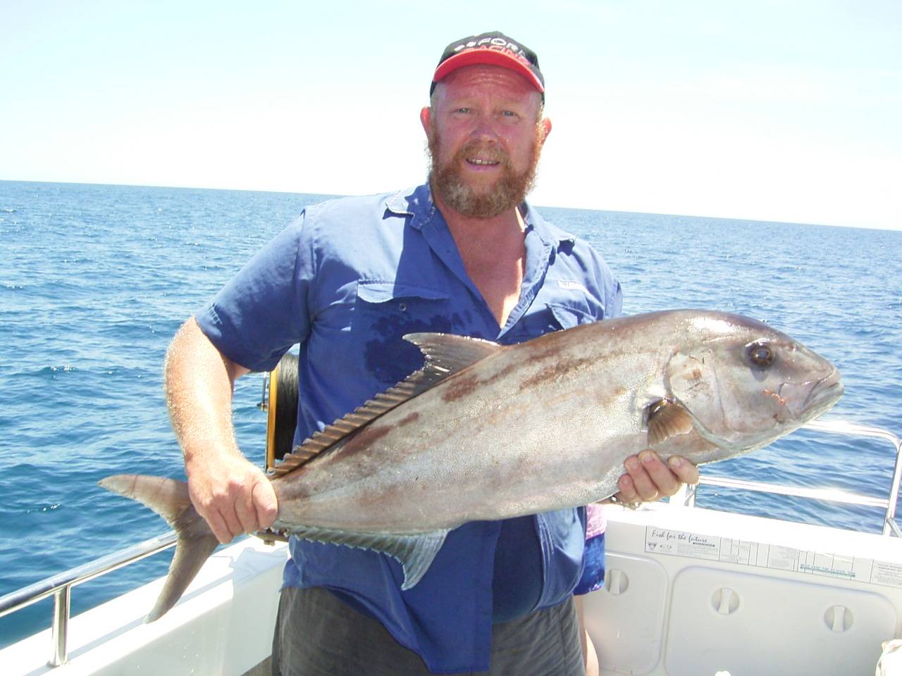 Catch and throw back