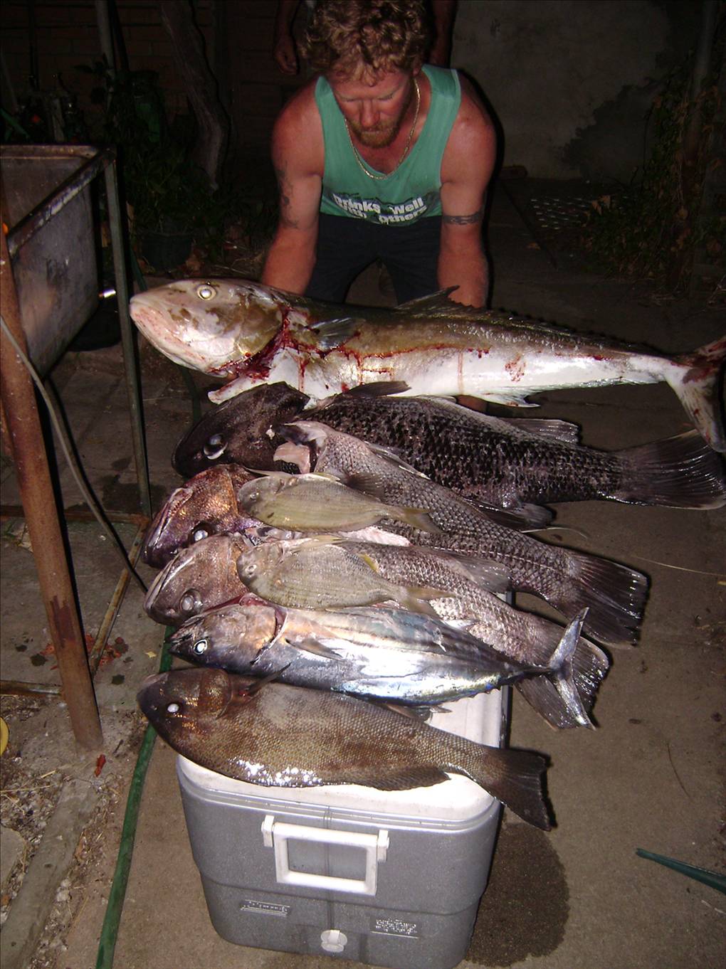 Great day fishing for 4