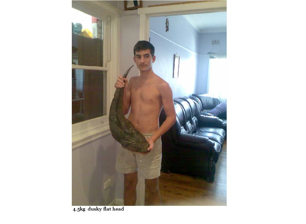 4.5kg Dusky Flat head