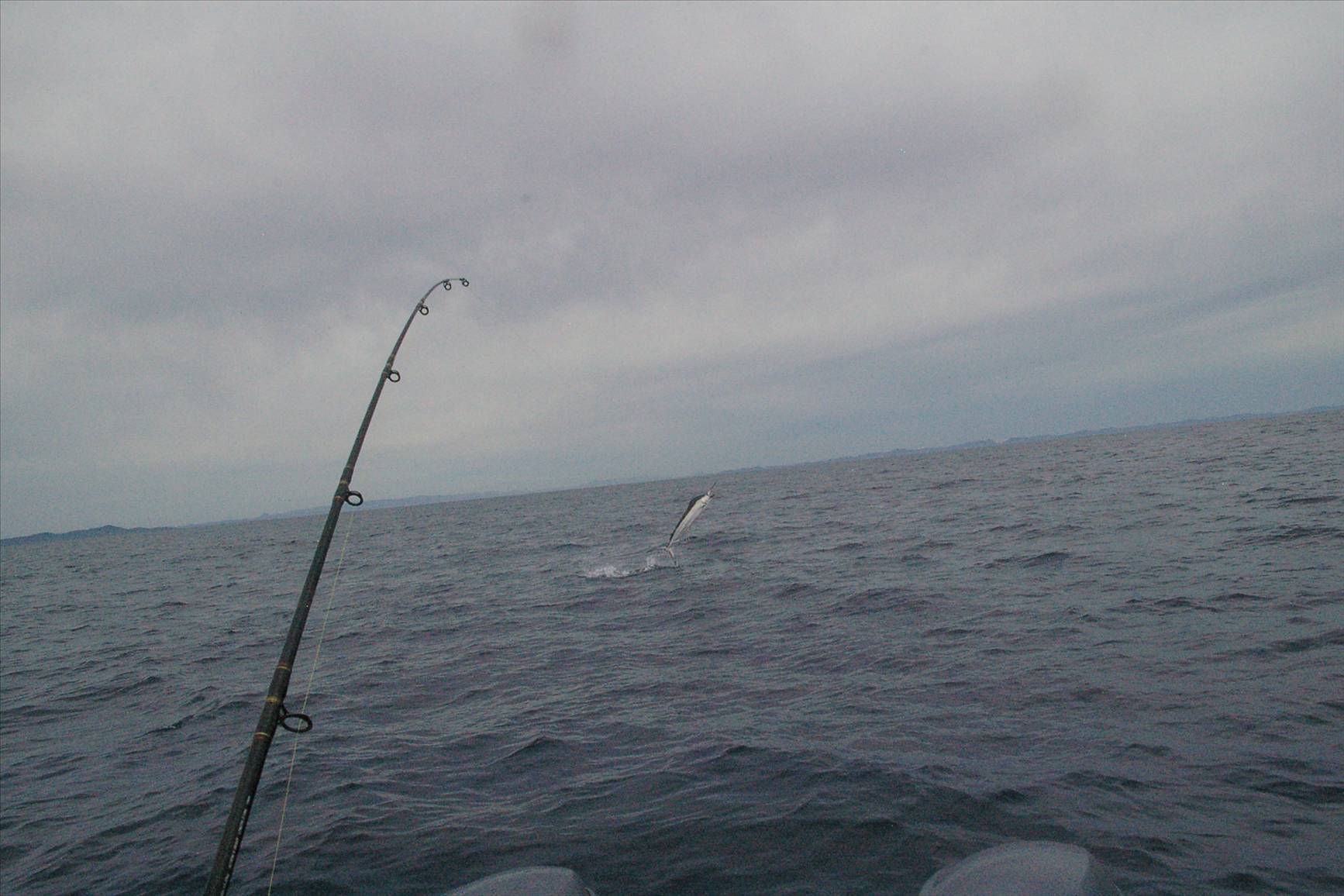 Sloney's Little black