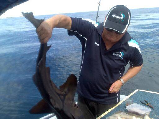 love getting sucked off by a port jackson