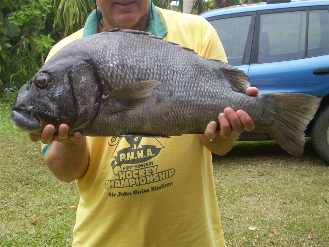 Dusky sweetlips - chewier than a football boot