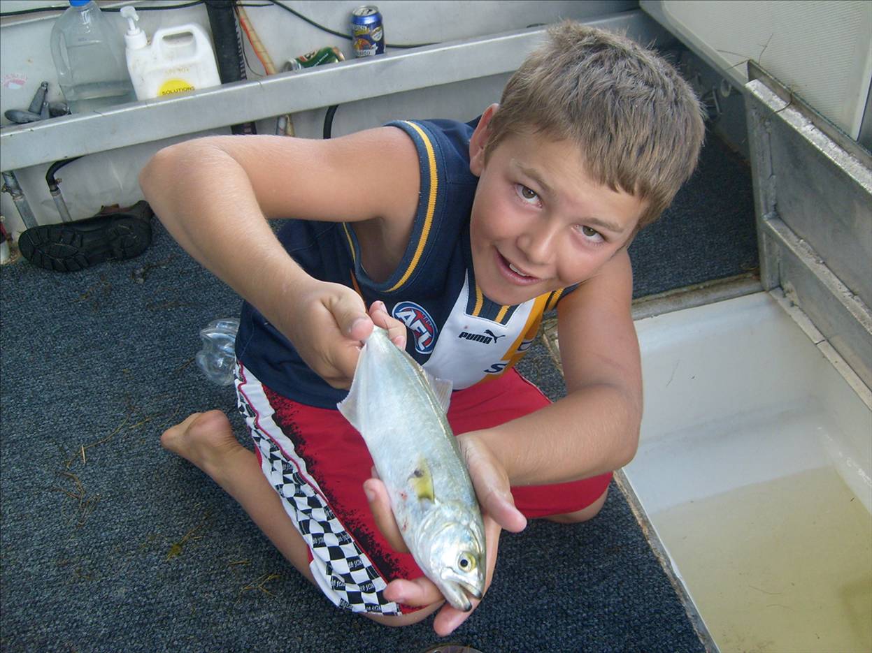 a nice serpentine river chopper