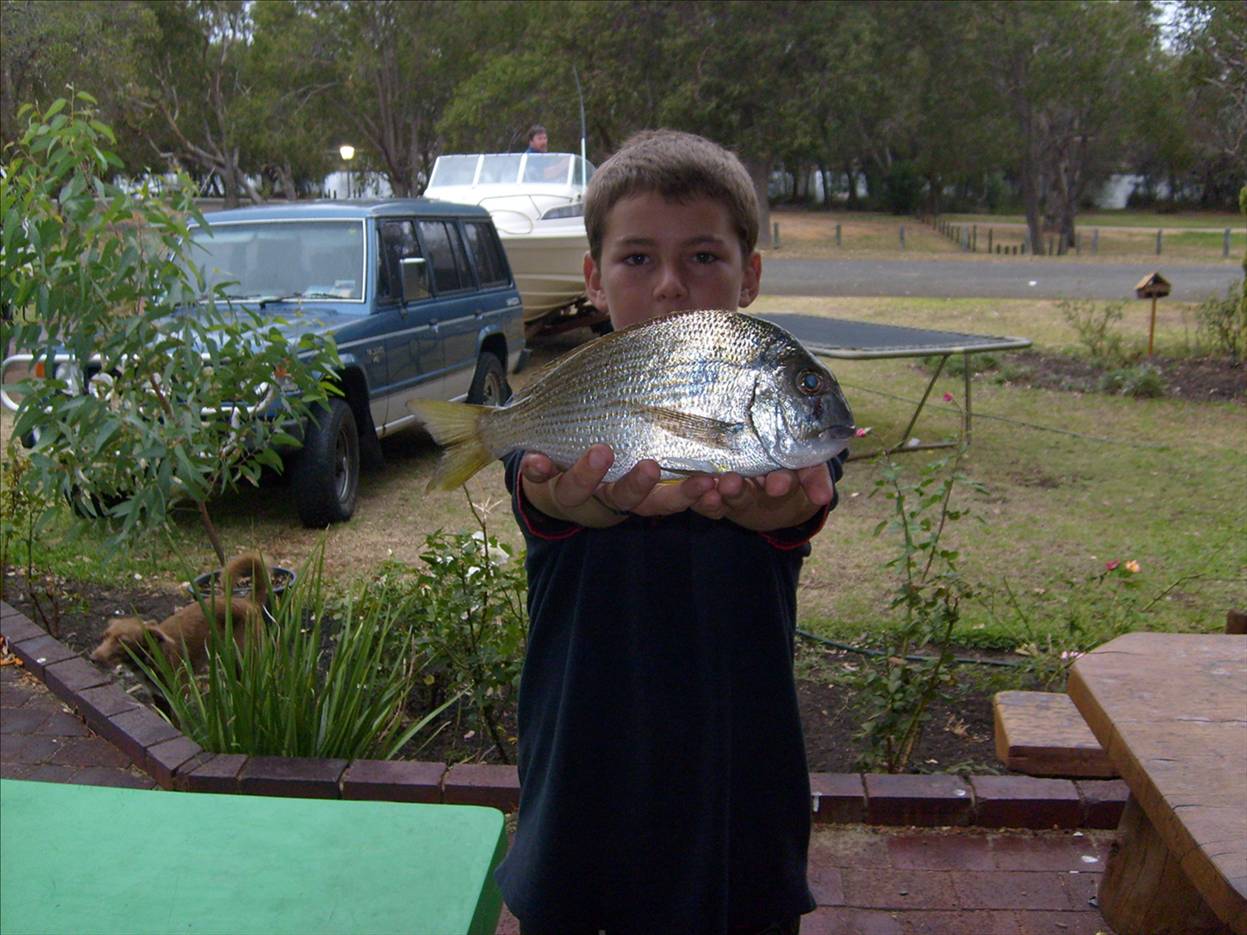 a 40cm bream from the Mary street lagoon!