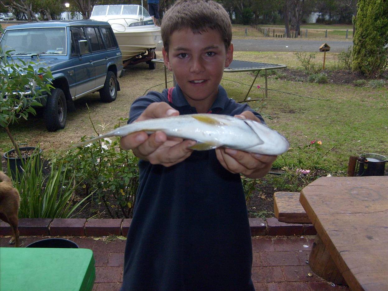 a 40cm bream from the Mary street lagoon!