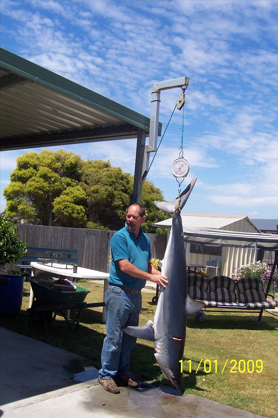 65 kg mako  Benny NW TAS