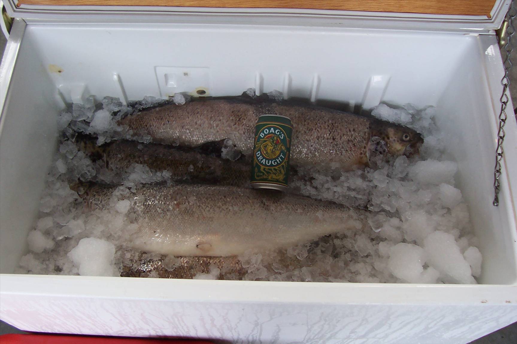 bennys atlantic salmon west coast tasmania