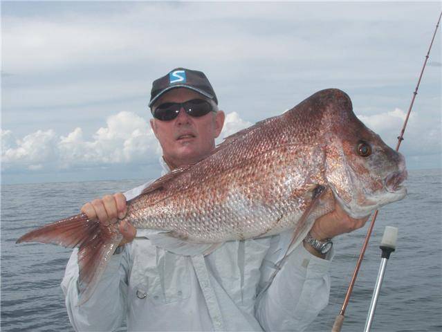 this one went 12 kg's nice fish Lance