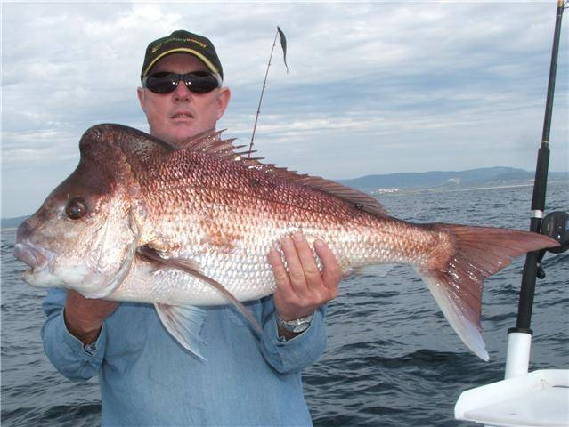 thisn one may look bigger but only went 9 kg's