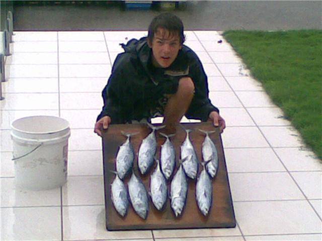 BLUE MARLIN BAITS :)