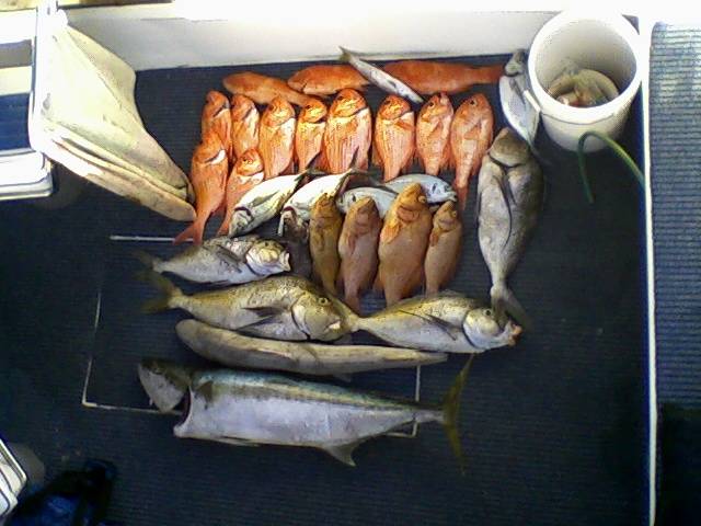 esperance great place to live!