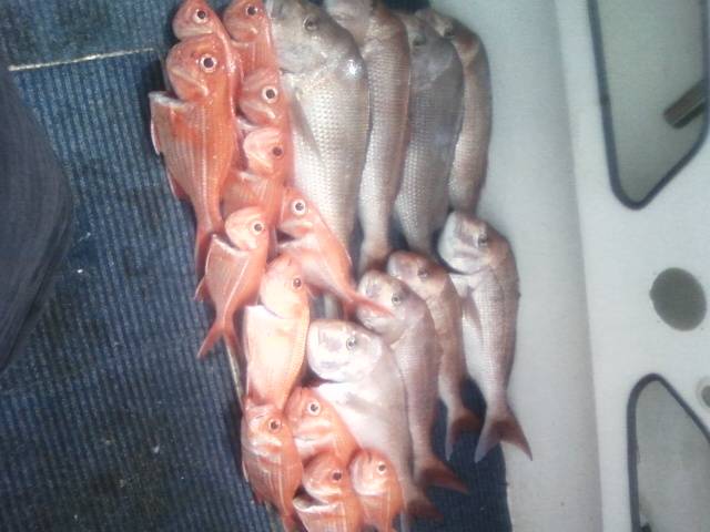 esperance great place to live!