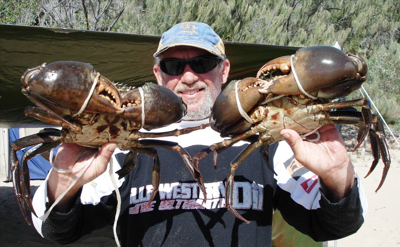 This is what you can get in July in sunny Queensland