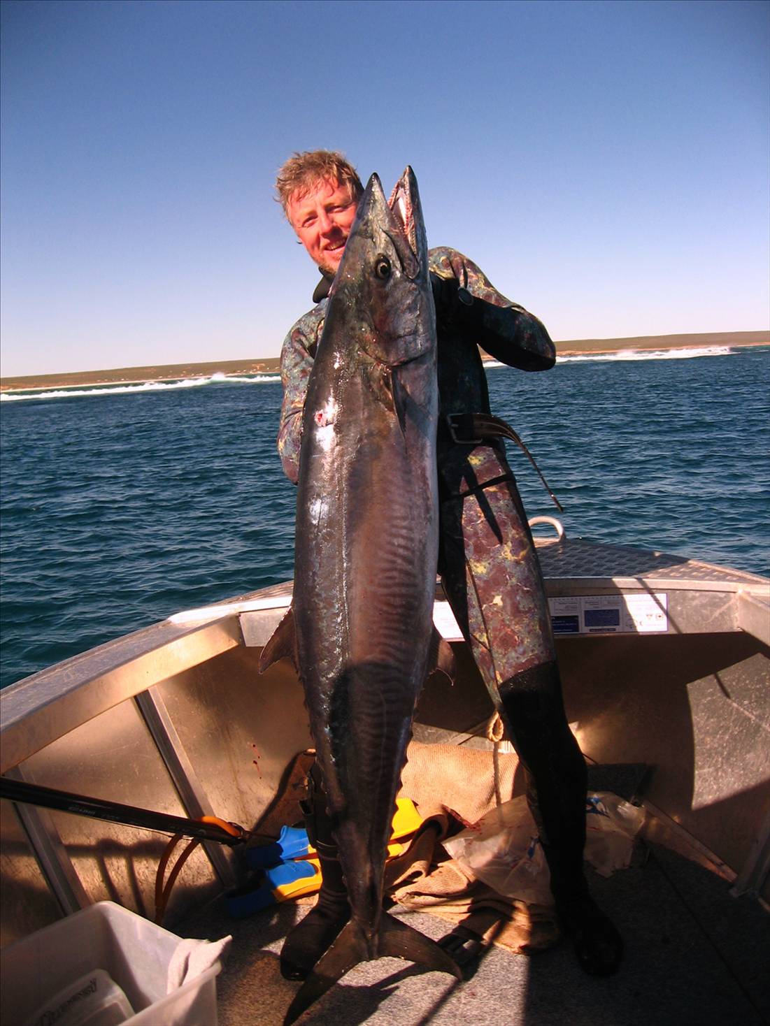 My PB 32kg Spaniard - Speared