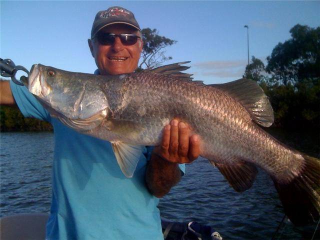 Jimmys 1st Barra 82cm