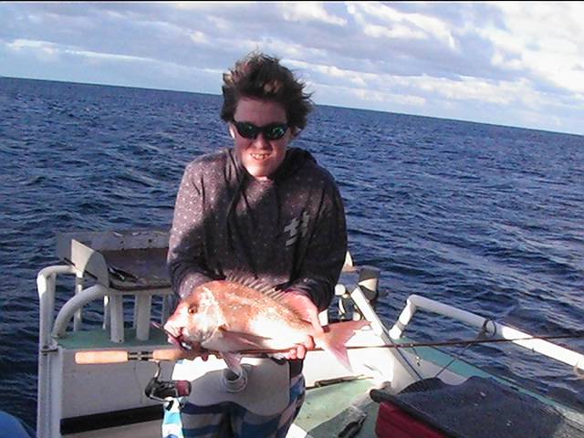 Abrolhos Islands "09" trip. all caught on 6lb gear