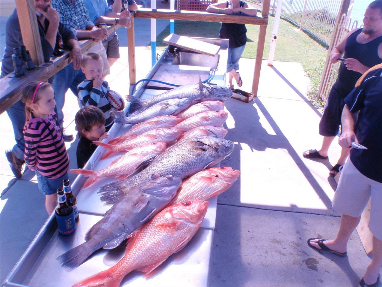 thats right there are no more fish in the ocean cause we are greedy bastards!