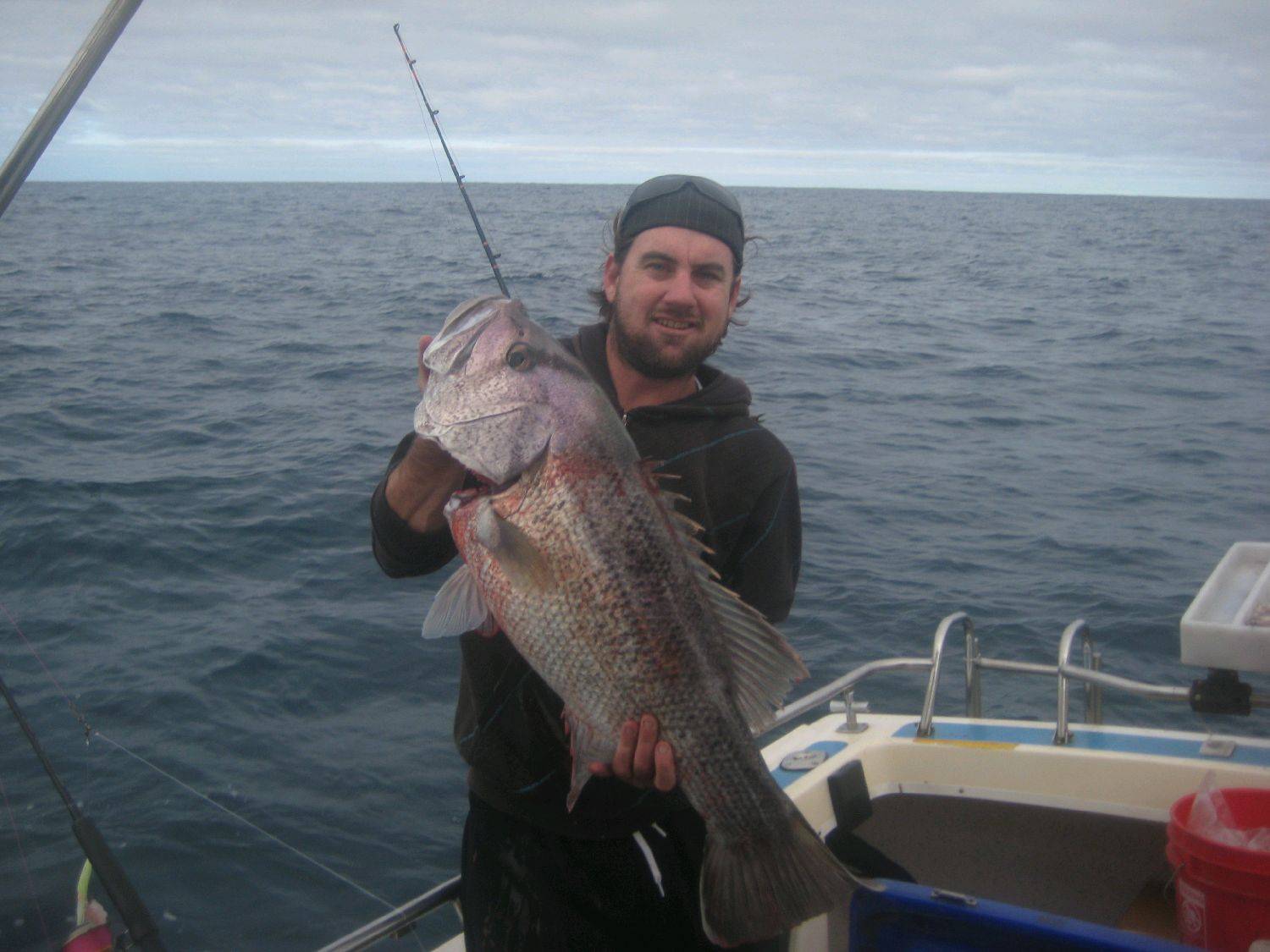 did he say fish fingers or finger the fish