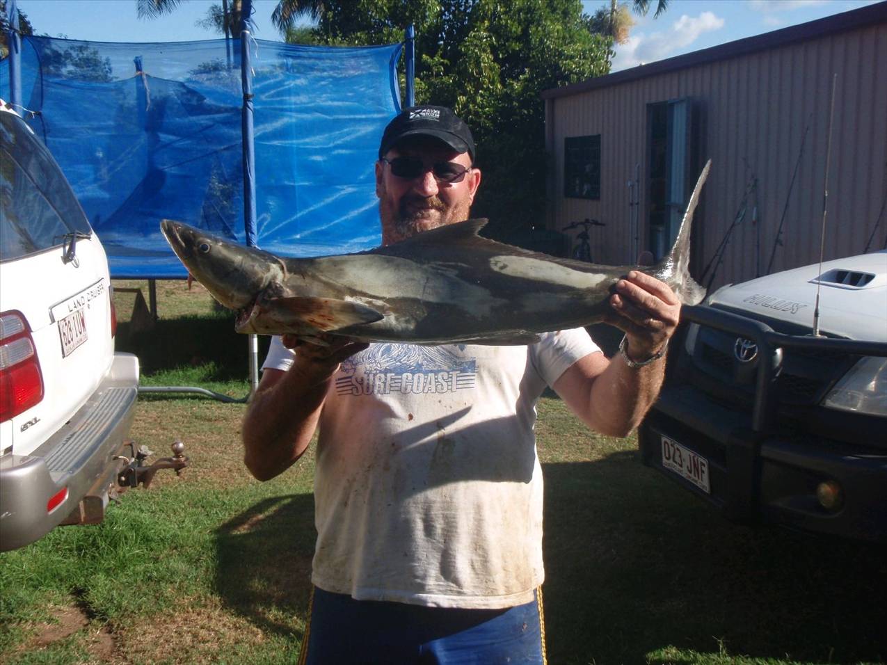 tidy cobia 04/11/2009 Brables reef