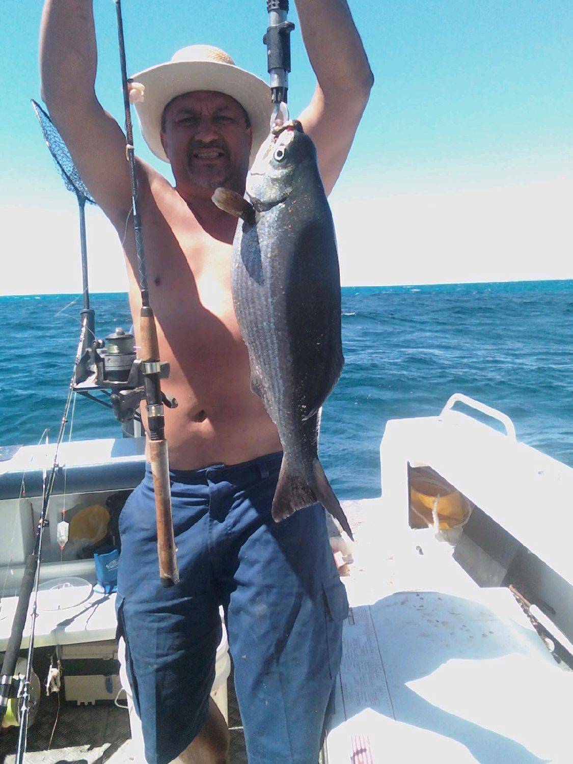 mecca's monster bream