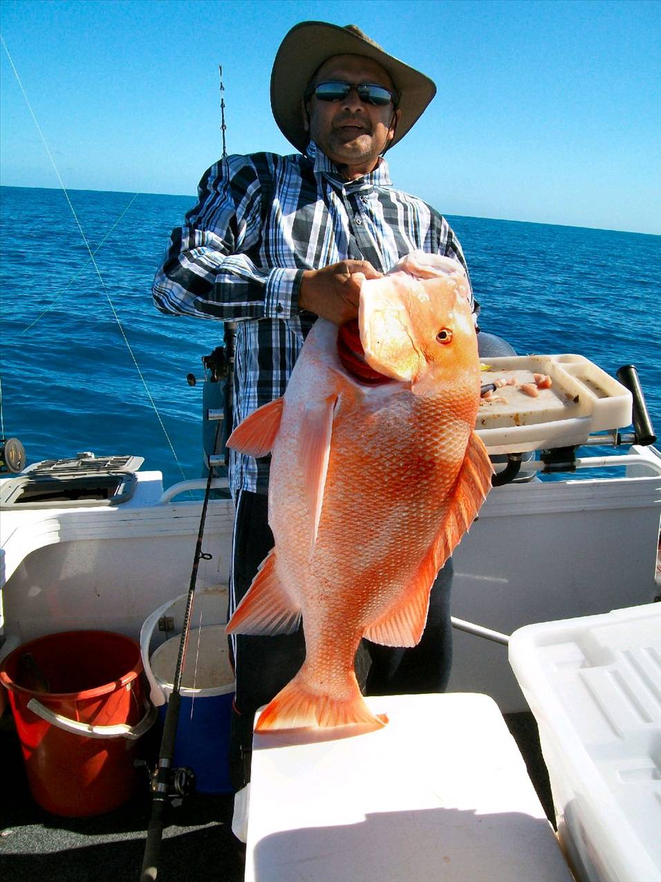 red emperor 13.65kilos