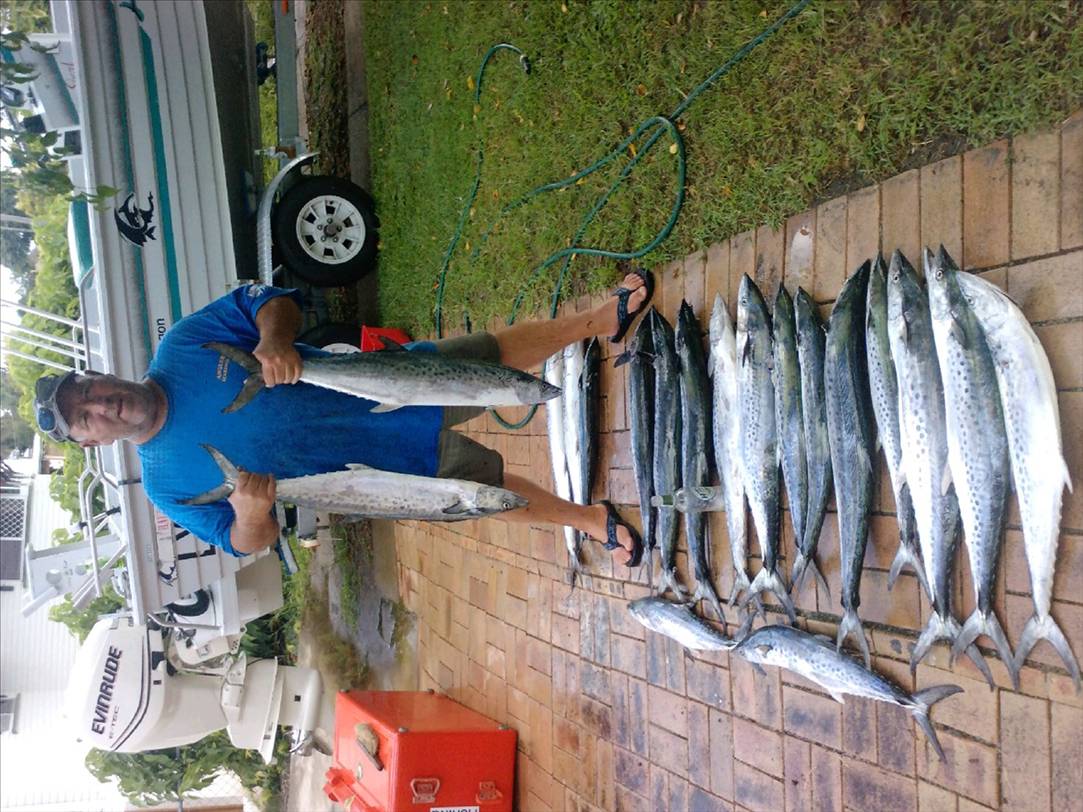 another day at palm beach reef