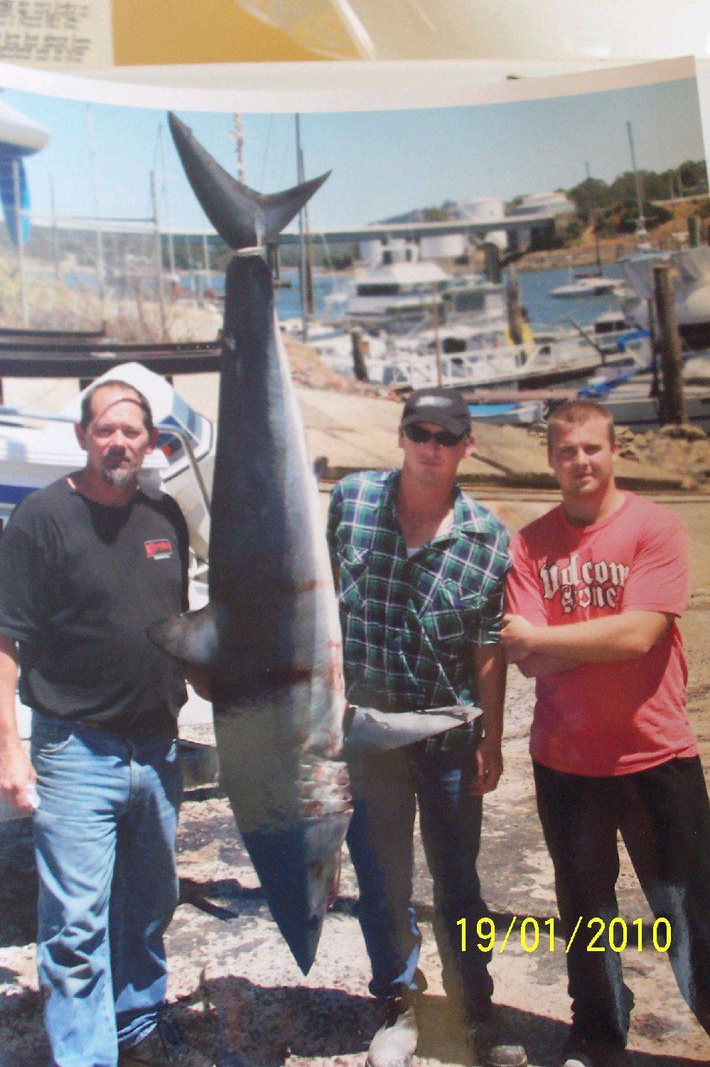 Tas. shark comp we came third 71 -8 kg