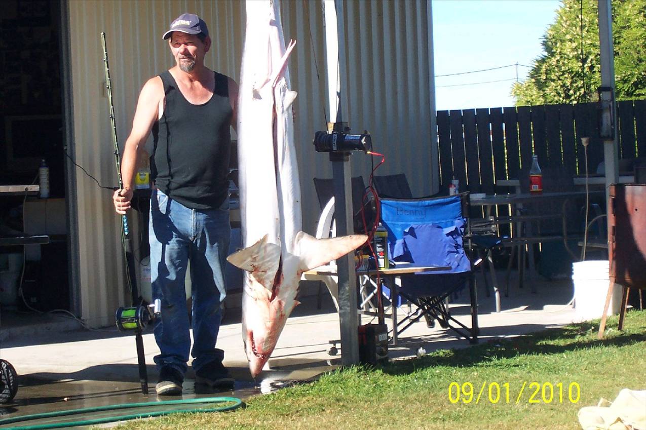 Tas, shark comp we came third 71 -8 kg