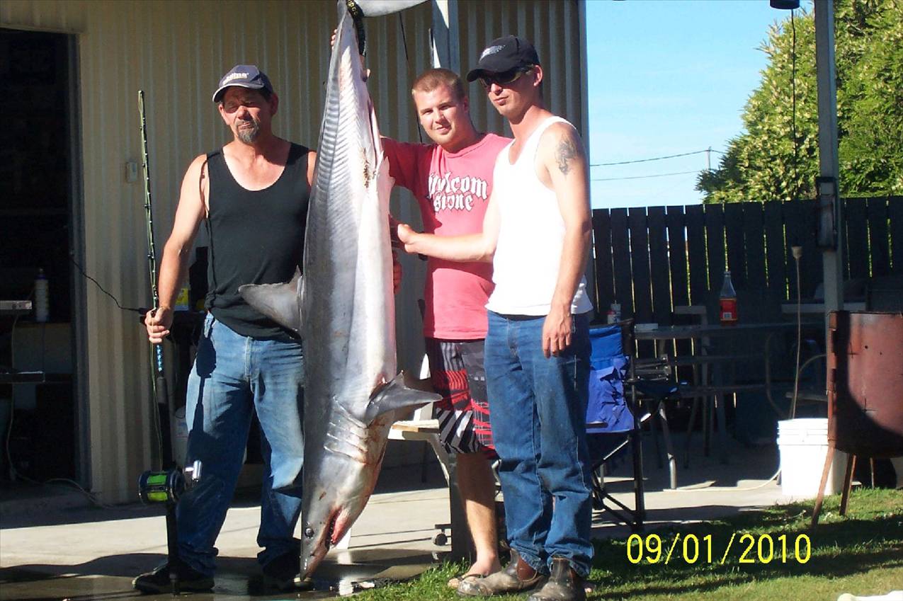Tas. shark comp we came third 71 -8 kg