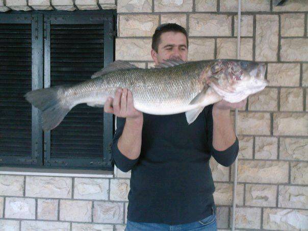 19880 104118716284439 100000589344384 108933 6884798 nDAVOR