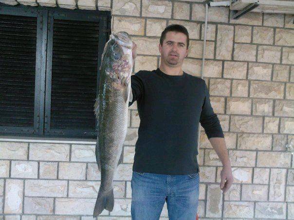 19880 104119036284407 100000589344384 108941 1794613 nDAVOR